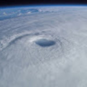 Meet your Posher, Nikhil